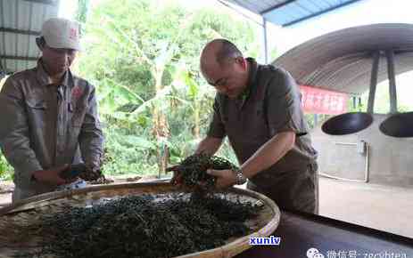 探索普洱拼配茶的艺术：技巧与 *** 