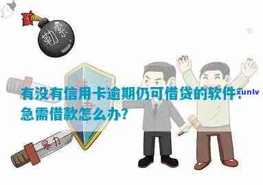 信用卡逾期后如何轻松借贷？有哪些软件可以推荐？