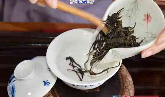 普洱茶大碗茶怎么玩：玩法介绍