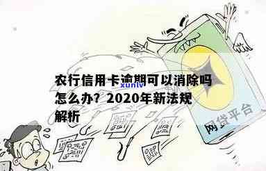 农行信用卡逾期没去拿怎么办，2020新法规下的影响与应对措