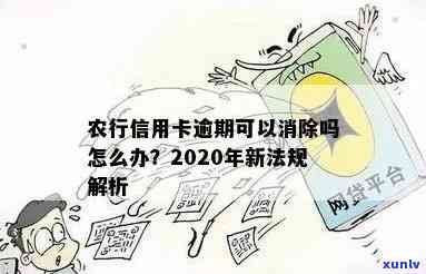 农行信用卡逾期没去拿怎么办，2020新法规下的影响与应对措