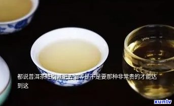 什么样的普洱茶去油