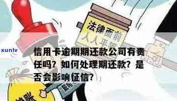 信用卡逾期导致解雇：公司应承担哪些赔偿责任及如何争取合理赔偿？