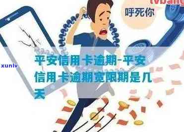 如何查询平安信用卡逾期记录？了解详细步骤和注意事项，确保信用无误！