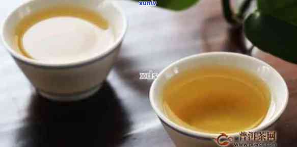 普洱茶冲泡前需要洗茶吗？如何正确泡普洱茶？