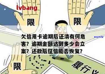 信用卡逾期还款后果全解析：不仅仅是信用受损！