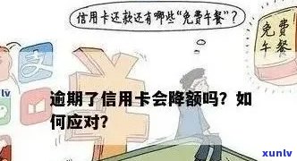 信用卡逾期还款策略：如何精确计算并迅速还清欠款