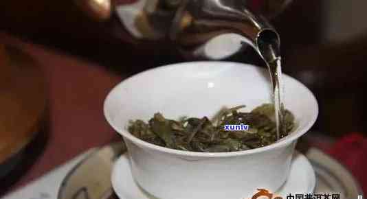 普洱茶泡制时间全面解析：究竟何时泡出茶？