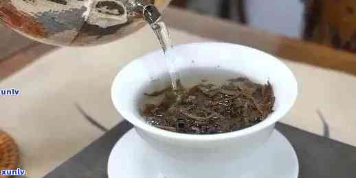 普洱茶泡制时间全面解析：究竟何时泡出茶？