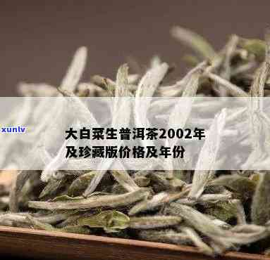 大白菜普洱茶2002年版本：一款口感独特、营养丰富的茶叶介绍与品鉴指南