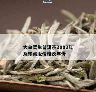 大白菜普洱生茶价格：2002年及当前市场行情查询