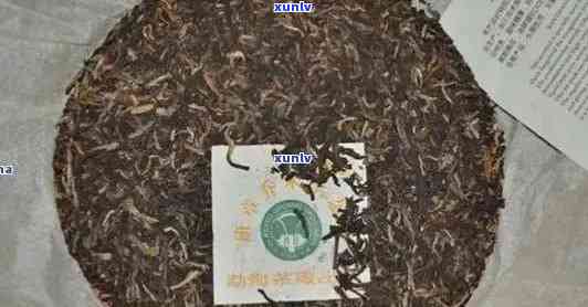 2002年云南特产：大白菜普洱茶的独特魅力与品质探究