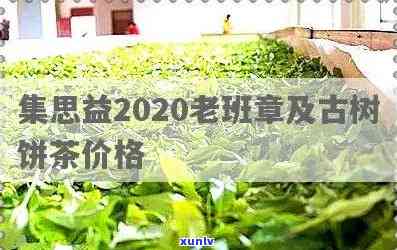 集思益普洱茶价格表