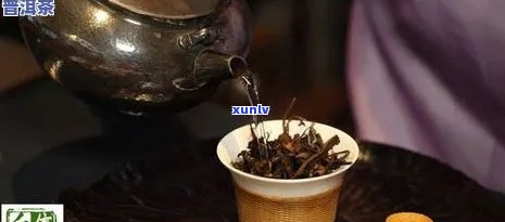 买的熟普洱茶要洗吗？多久才能喝？