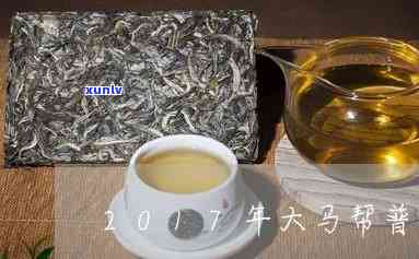 大马帮1号普洱茶：品种、产地、年份、价格及品鉴 *** 全面解析