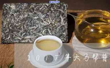 大马帮一号茶叶：品质越，价格合理吗？