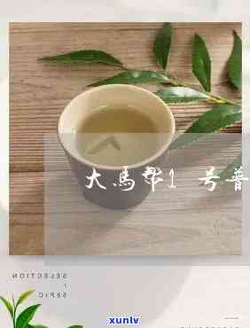 大马帮一号茶叶：品质越，价格合理吗？