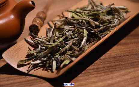 运动员喝茶的影响：茶叶种类、时间、剂量与运动表现的关系