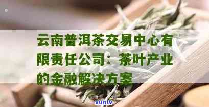 优质普洱茶批发交易中心：全方位茶叶采购解决方案