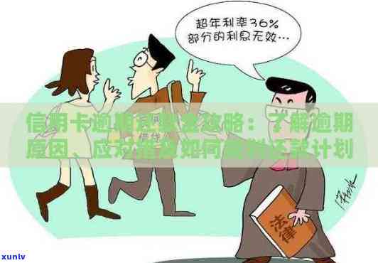 信用卡逾期还款策略详解：如何制定还款计划及应对措