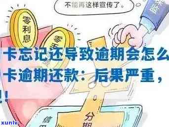 信用卡逾期还款策略详解：如何制定还款计划及应对措