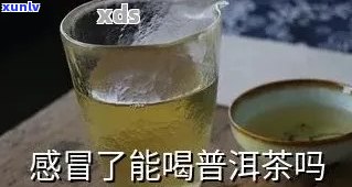 新 '每次普洱茶饮用后都引发感冒，原因何在？'