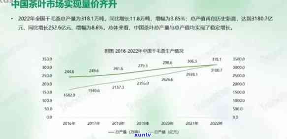 2023年普洱茶市场分析：消费者喜好、价格波动及未来趋势