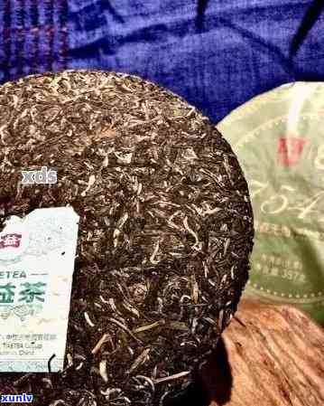 新益号普洱茶品鉴：喝过的朋友分享口感与体验