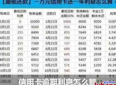 信用卡2万逾期半年利息计算：逾期半年两万信用卡利息是多少？