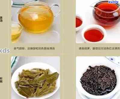 福羊丛意3号普洱茶：品种特点、 *** 工艺、口感评价与冲泡 *** 全面解析