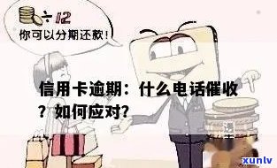 信用卡逾期半年：如何应对 *** 并解决逾期问题？