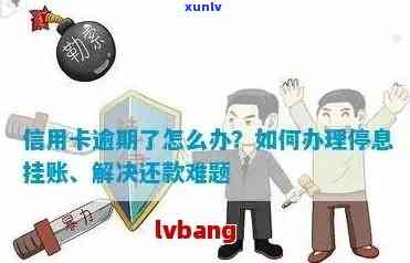 信用卡逾期后的还款策略：如何避免挂账停息