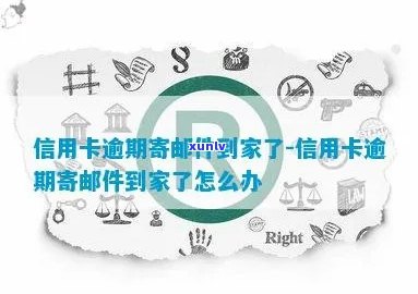 糯种飘花翡翠手镯价格：一般多少？