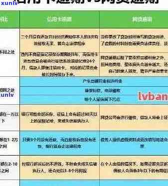 2021年信用卡逾期减免政策：全面解读与实用建议