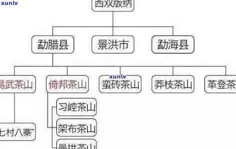 探索普洱茶的瑰宝：品味十大名寨和六大名山的极品茶叶