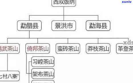 十大名山名寨普洱茶