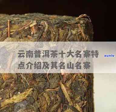 十大名山名寨普洱茶