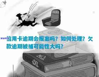 信用卡逾期半年后的处理策略：银行报案是否有效？