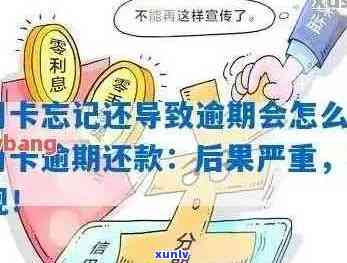 信用卡逾期还款提醒：我爸接到的神秘 *** 揭示了什么？