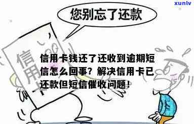 信用卡逾期还款提醒：我爸接到的神秘 *** 揭示了什么？