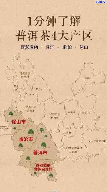 云南普洱茶：探索其三大产区的文化、地理与口感之旅