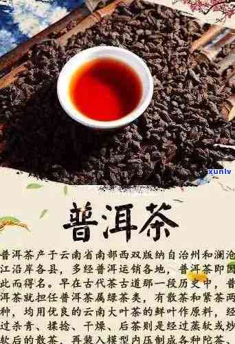 云南十大知名普洱茶及其特点