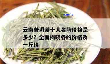 云南十大普洱茶知名2018年价格及详情