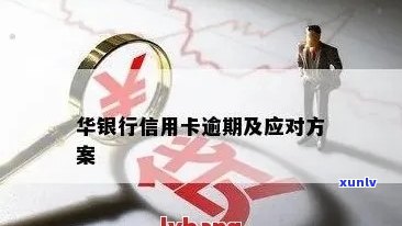 华银行信用卡逾期半年还款情况查询与处理建议