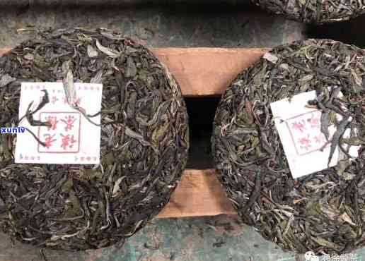 普洱林老根古树茶厂：品质越，值得信！