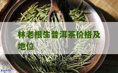 林老根普洱茶价格表