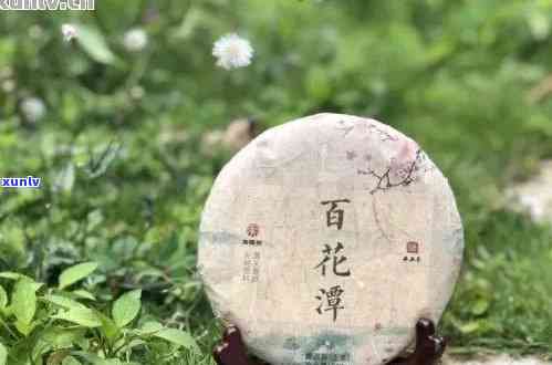 百花岭普洱茶排第几？产区、特点及价格介绍