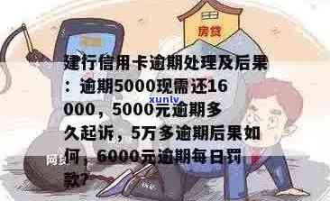 建设银行信用卡逾期5000元：起诉时间、后果及如何解决逾期问题