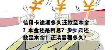 信用卡逾期还款：先扣本金还是利息？怎么办？