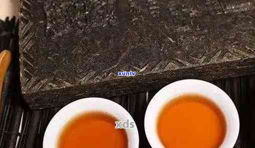 普洱茶与砖茶口感对比：哪个更好？